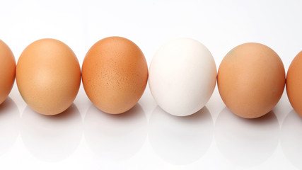 chicken eggs on white background.