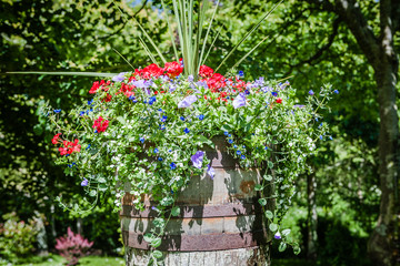 lovely summer flowers in a landscaped english garden