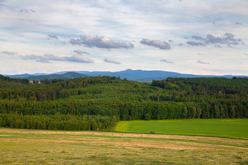 Fototapeta na wymiar Spring rural landscape in Czech Republic. 