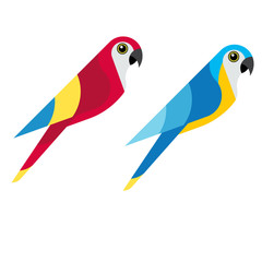 Flet parrot macaw on white background © Roman