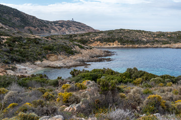 Fototapeta na wymiar Pointe de la Revellata - Corse