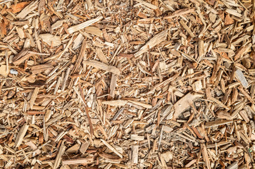 wooden and lumber sawdust