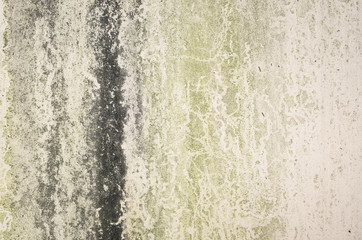 background with moss on wall