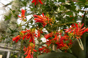 Garten.