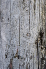 Hintergrund Holz Grau - Holzhintergrund - Werbefläche