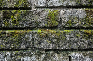 rough stone brick wall with lichen and moss