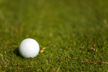 Golf Club