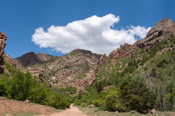 Fototapeta na wymiar Low angle landscape of trees and mountains on the Shelf Road near Cripple Creek, Colorado