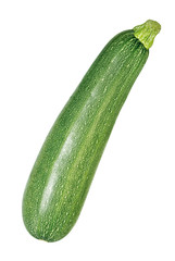 Zucchini