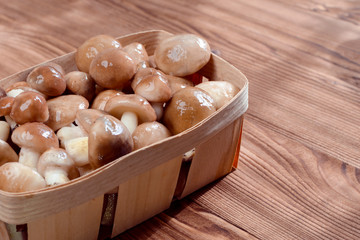 Mushroom Suillus in wooden box. Autumn Cep Mushrooms over Wooden Dark Background, close up on wood rustic table.