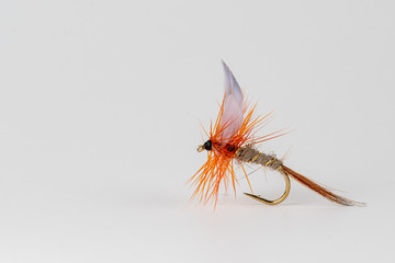 Upstream Dry Trout fly fishing Fly Pattern Gold Ribbed Hares Ear