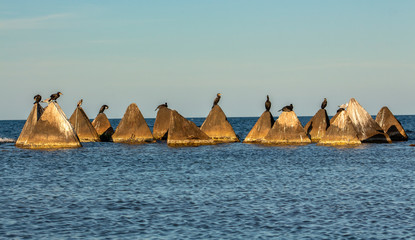 Seascape. Rocks and concrete pyramids against the background of the Lighthouse and the Shabla...