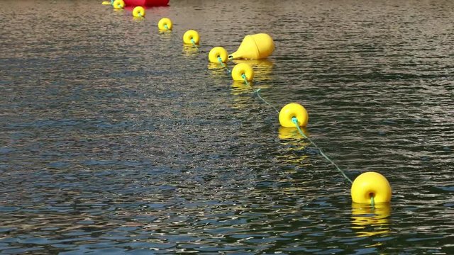 buoy