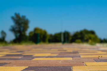 Tile in the park blurred forest in the background