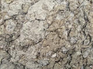 texture of wall