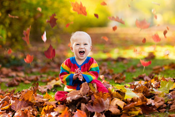 Child in fall park. Kid with autumn leaves.