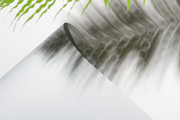 Folded paper and fern leaf