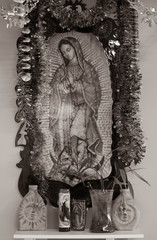 La Virgen de Guadalupe/Virgin Mary 