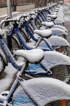 Bicycle completely covered with snow parked near the sea in winter, New York City