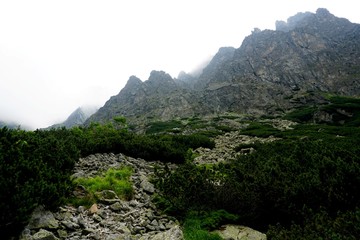 Mountain stone trail through forest in High Tatras. Mountain road in the forest.                      Journey through the Carpathian forests and mountains