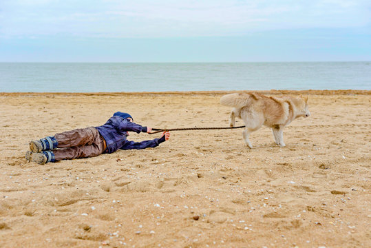 The Dog Pulls The Child For A Leash On The Sand On The Beach And The Ocean. Pet Training At The Beach