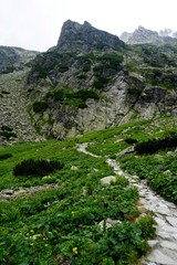 Mountain stone trail through forest in High Tatras. Mountain road in the forest.                      Journey through the Carpathian forests and mountains