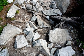 Mountain stone trail through forest in High Tatras. Mountain road in the forest.                      Journey through the Carpathian forests and mountains