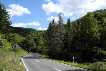 Fototapeta premium Vertrocknete Nadelbäume an der Landstraße im Gelbachtal im Westerwald im August 2019 - Stockfoto