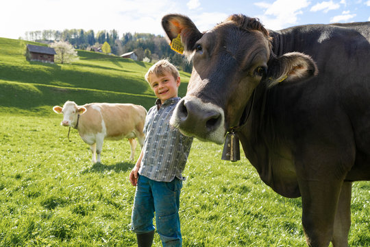Happy boy with cow on pasture