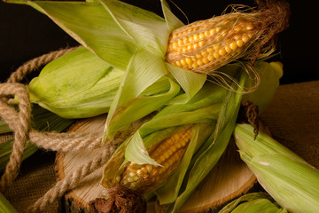 Fototapeta Kolby dojrzałej kukurydzy w zielonych liściach. obraz