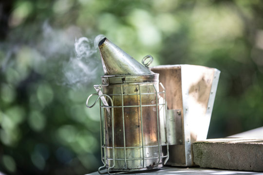 Smoker of an beekeeper making smoke