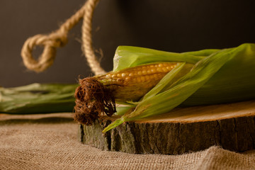 Kolby dojrzałej kukurydzy w zielonych liściach.