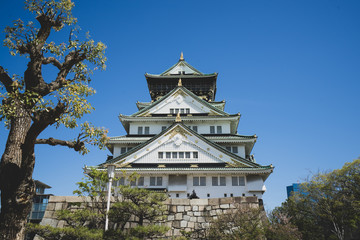Fototapeta premium Osaka Castle vintage palace daylight, japan
