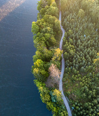 aerial veiw of empty road in green forest with the blue lake. drone shot