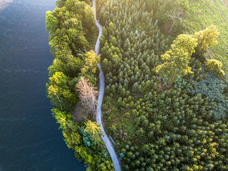 aerial veiw of empty road in green forest with the blue lake. drone shot