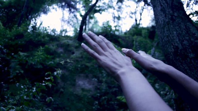 mano p&aacute;jaro 2