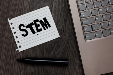 Word writing text Stem. Business concept for Development destruction of human embryos for science and research Laptop nice computer notebook netbook pen small pitch paper pen wood