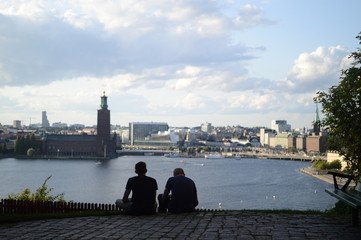 Fototapeta na wymiar stockholm silhouette ivar lo park