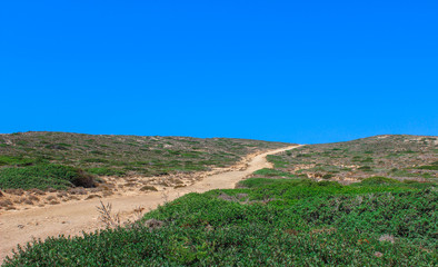 Fototapeta na wymiar Landscape with dirt road and bright blue sky.