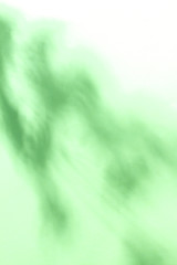 Abstract background of shadows branch leaves on wall. Shadows overlay effect. Mockup