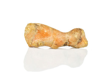 One whole pungent bright turmeric rhizome isolated on white background