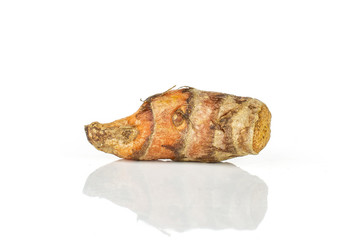One whole small bright turmeric rhizome isolated on white background