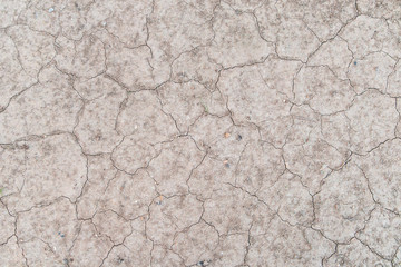 Textured Cracks on Dry Ground