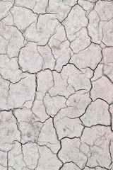 Textured Cracks on Dry Ground