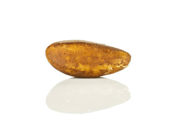 One whole fresh unshelled brazil nut isolated on white background