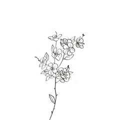 sketch of flowers on black background