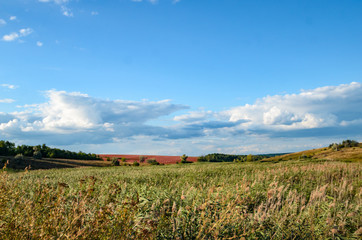 Fototapeta na wymiar Large clouds on the horizon with a field