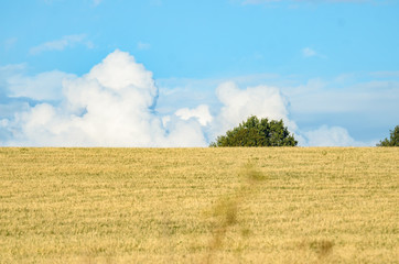 Large clouds on the horizon with a field
