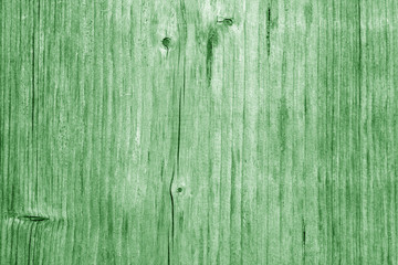 Wooden board texture in green tone.