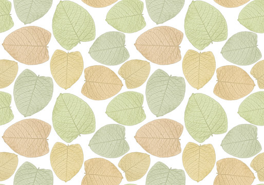 seamless pattern print of graphically stylized leaves